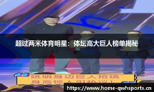 超过两米体育明星：体坛高大巨人榜单揭秘
